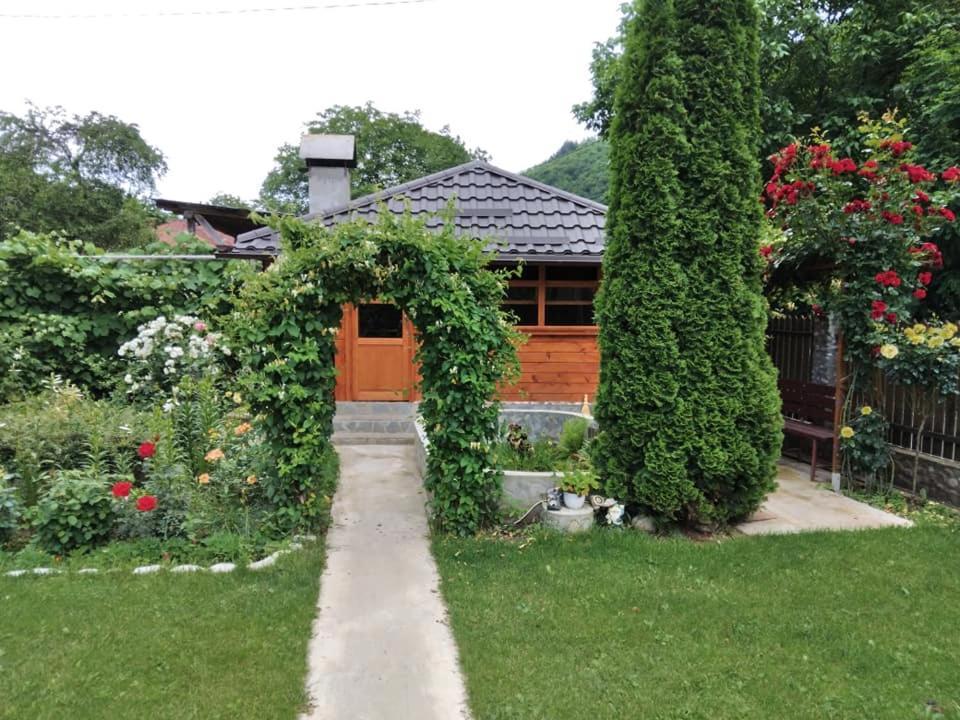네호이우 Casa Fetic 아파트 외부 사진