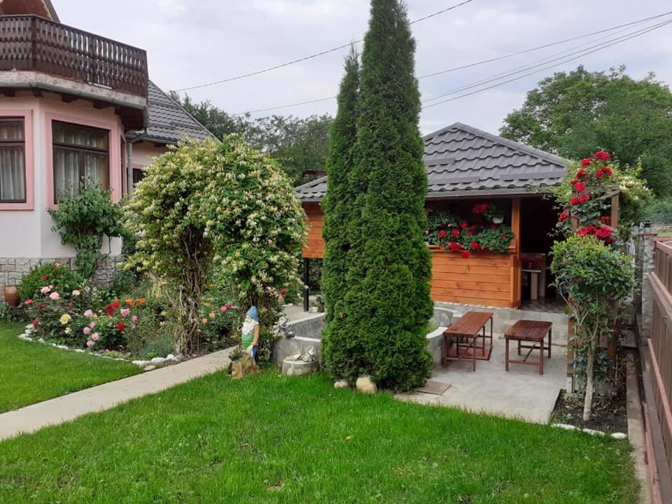네호이우 Casa Fetic 아파트 외부 사진