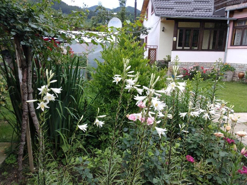 네호이우 Casa Fetic 아파트 외부 사진