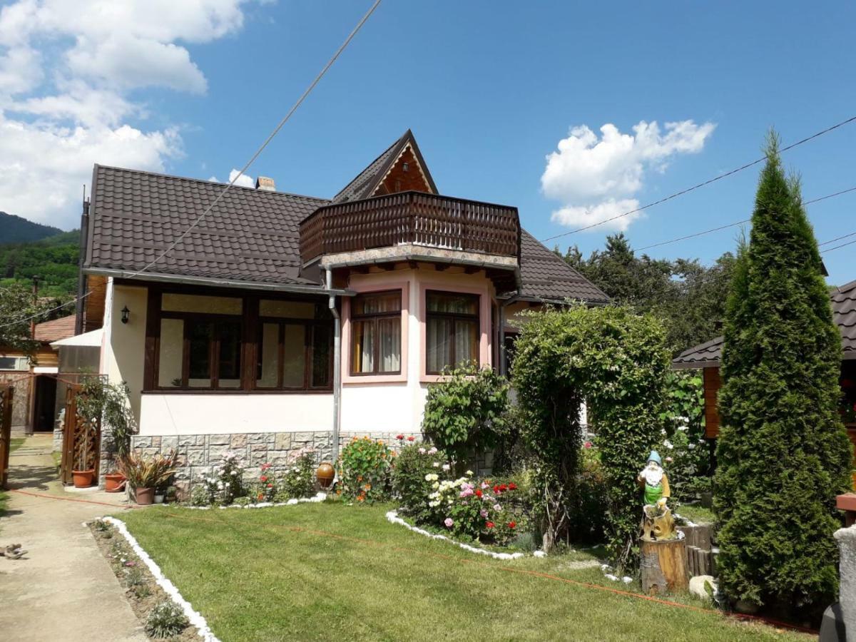 네호이우 Casa Fetic 아파트 외부 사진