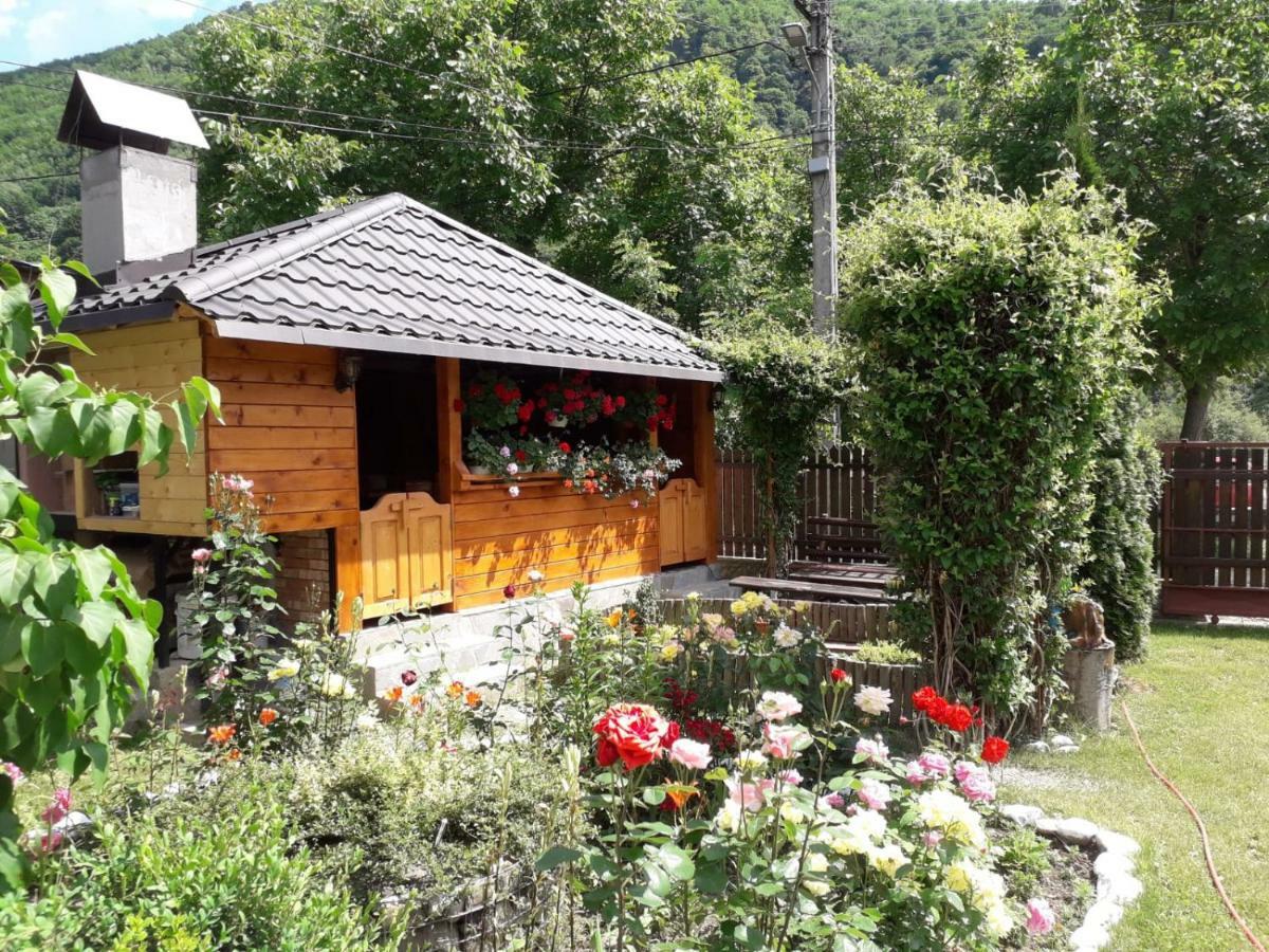 네호이우 Casa Fetic 아파트 외부 사진