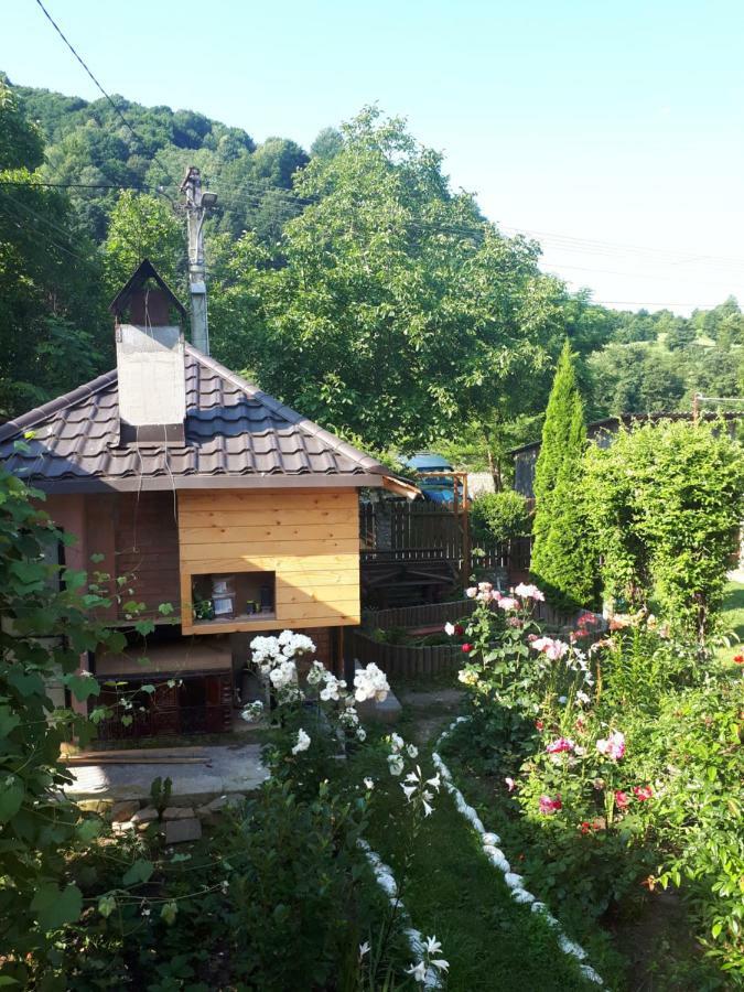 네호이우 Casa Fetic 아파트 외부 사진