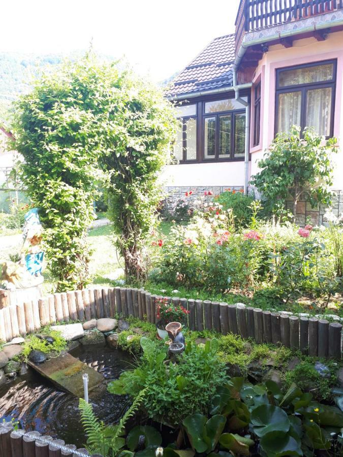 네호이우 Casa Fetic 아파트 외부 사진